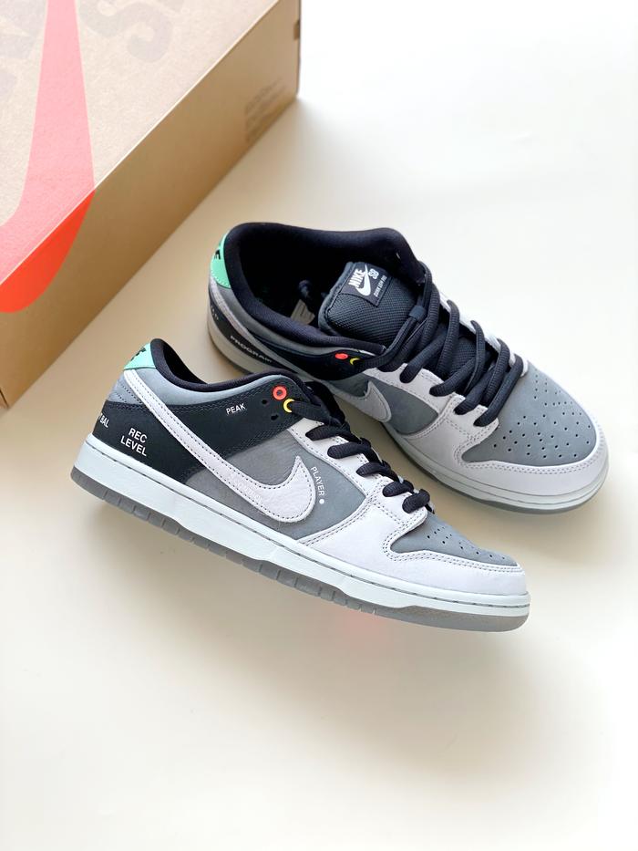 Nike SB Dunk Low VX1000 Camcorder