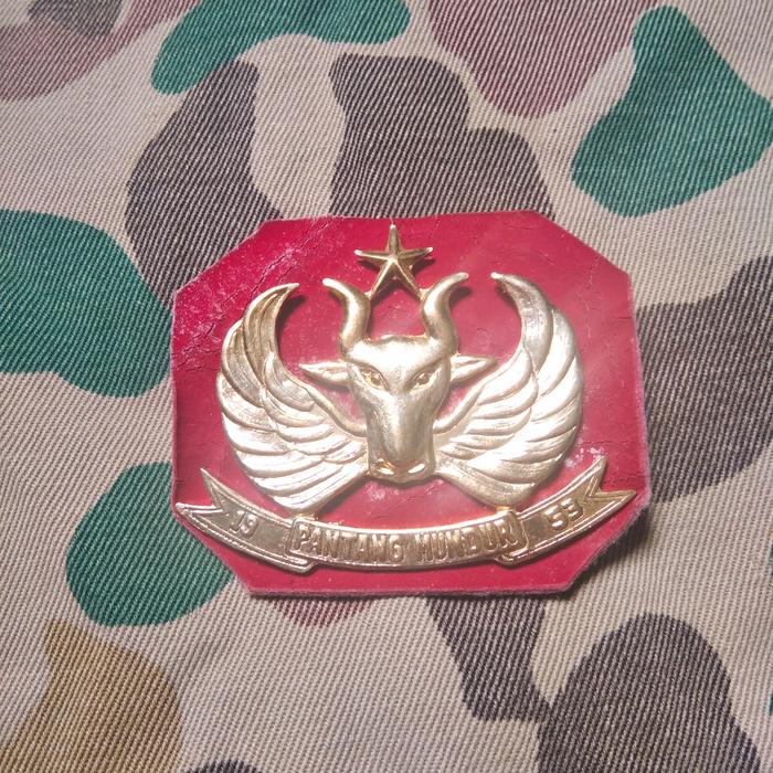 pin baret banteng raider yonif 400 emblem baret banteng raiders yon 454 kodam 4 pin kepala banteng e