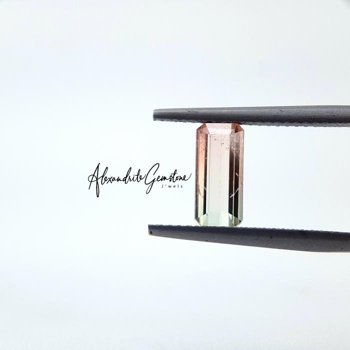 SALE - Natural Bicolor Tourmaline NoHeat T0221015 - AG Jewellery