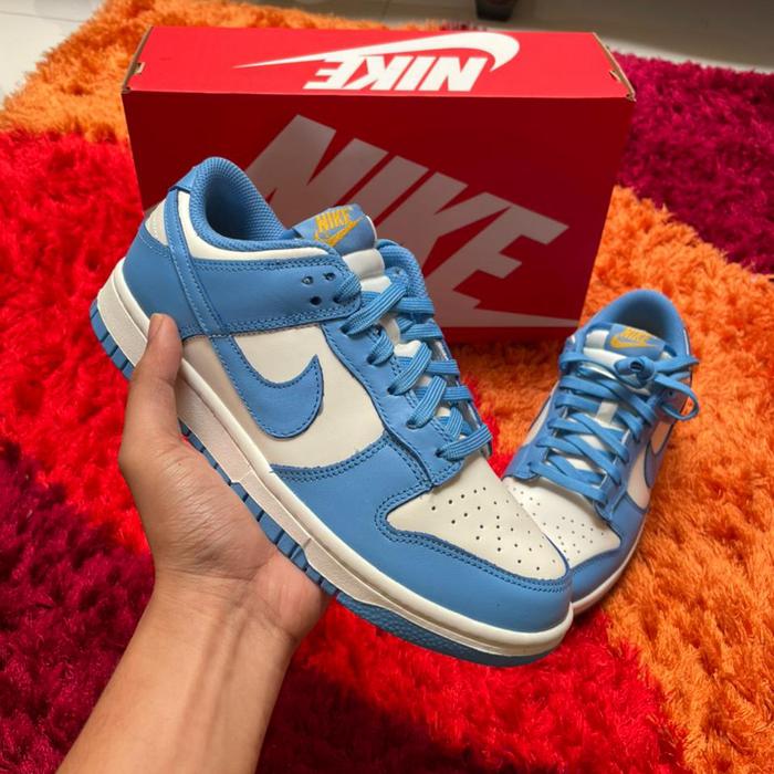 Nike Dunk Low Coast (W)