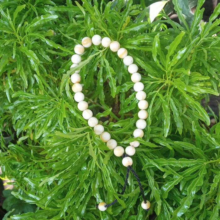 gelang batu Marjan putih white coral 6mm