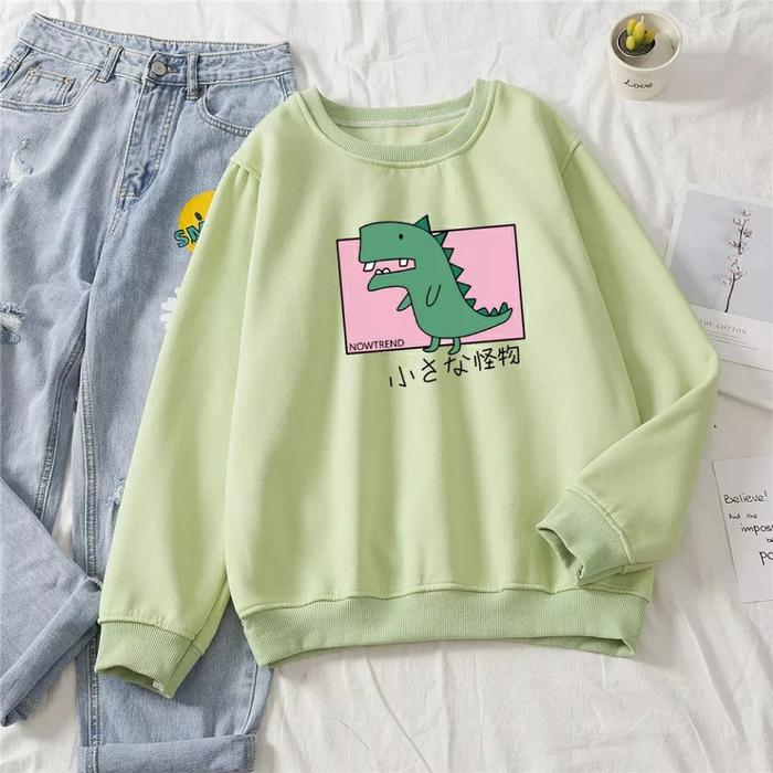 Dinosaur Cartoon Sweatshirt sweater