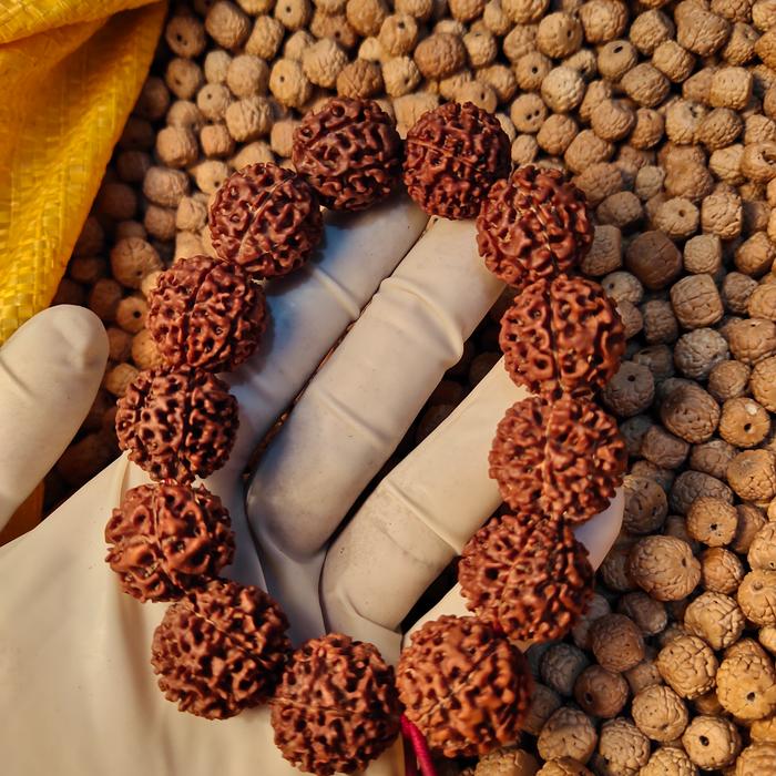 gelang jenitri rudraksha mukhi 7