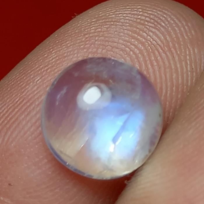 natural biduri laut biduri sulak biru