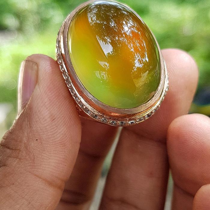 BIO SOLAR CHANGE JUMBO