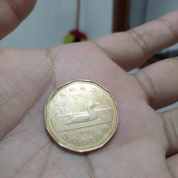 coin dollar canada th 1989