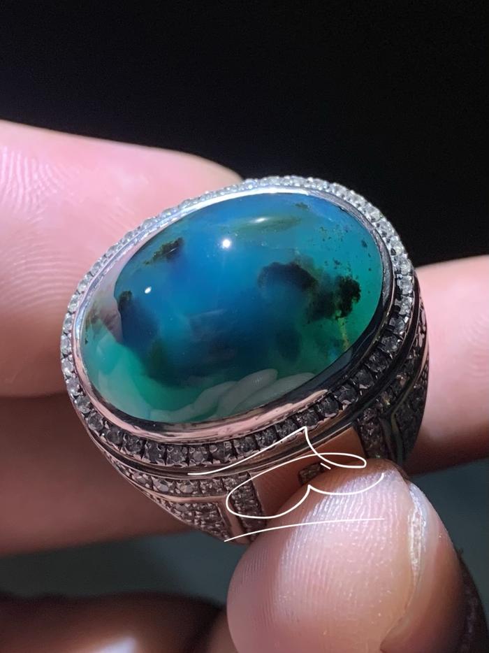 [SOLD] BACOK (BACAN COKLAT) entjerrr