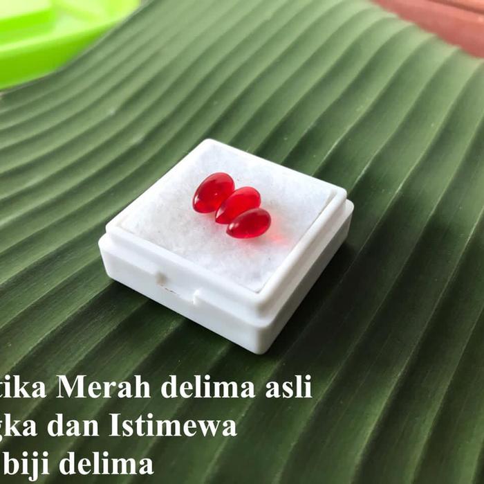 Batu Alami dari Buah Delima Mustikaa Merah Delima Langka