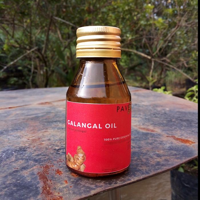 50 ml - minyak atsiri lengkuas / galangal oil
