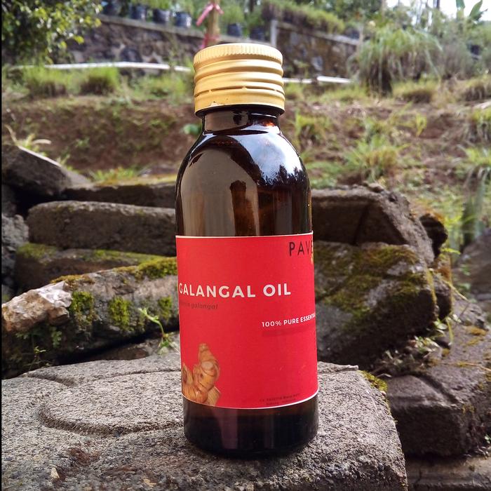 100 ml - minyak atsiri lengkuas / galangal oil