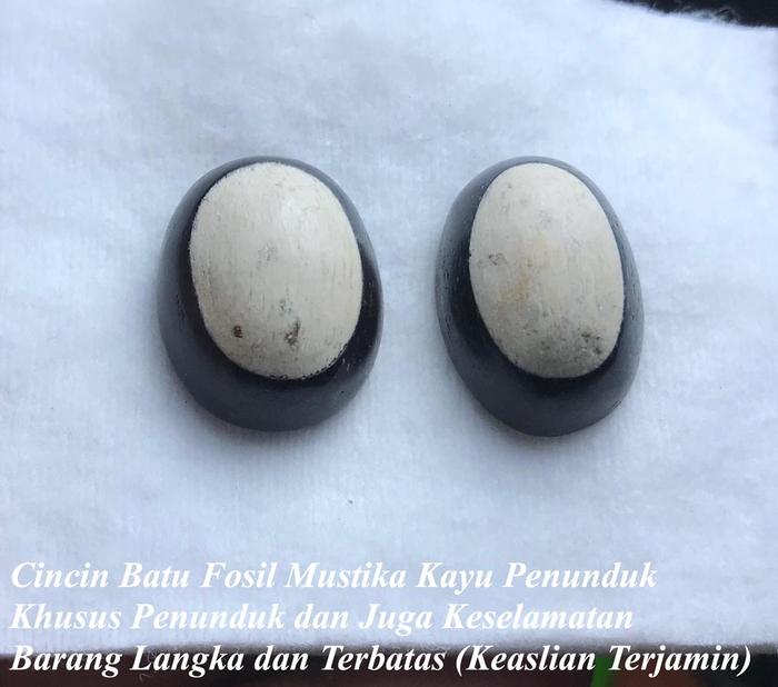 Batu Mustikaa Fosil Kayu Penunduk Asli dan Langka