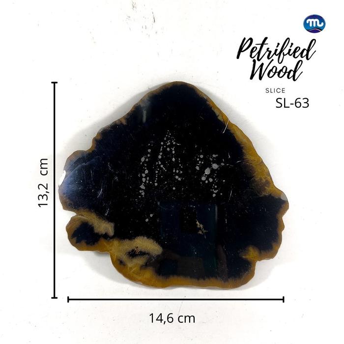 Slice Petrified Wood - Slice Fosil Kayu SL-63