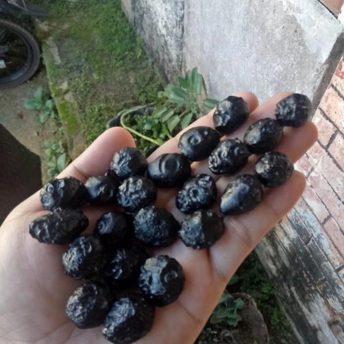 Batu Satam Asli Belitung (Billitonite) Diameter 2 cm