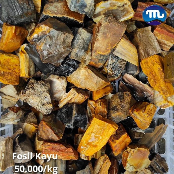 Batu Mentah Fosil Kayu - Bongkahan Petrified Wood Per kilo