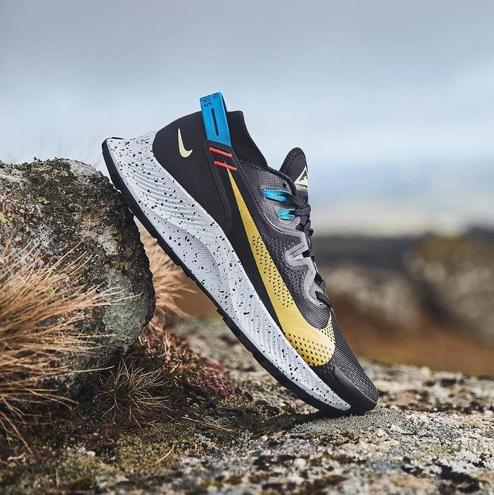 Nike Pegasus Trail 2 “Black/Gold”