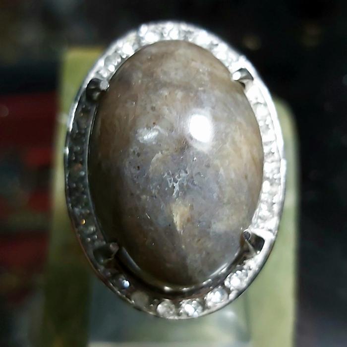 Fosil Aren - Cincin Batu Akik
