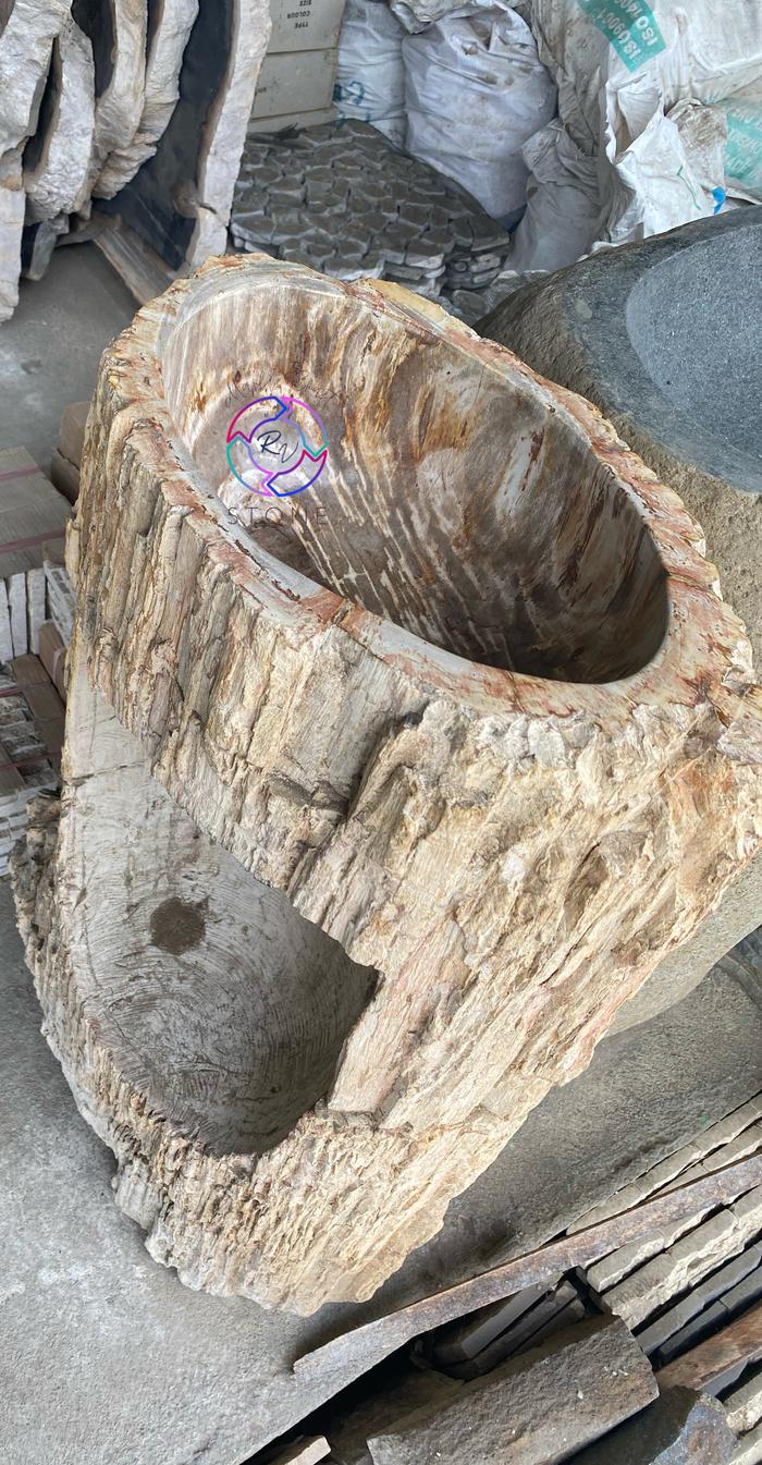 Pedestal Petrified Wood ( batu fossil )