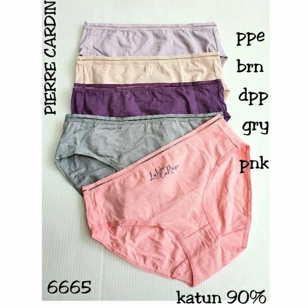 Panty 665 Pierre cardin
