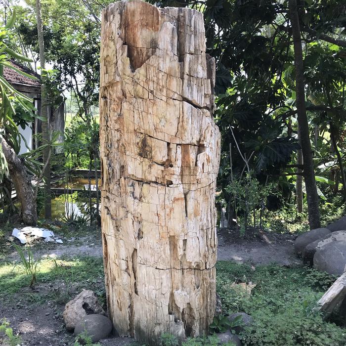 Batu Fosil Taman / Batu Sultan Fosil / Batu Besar Taman