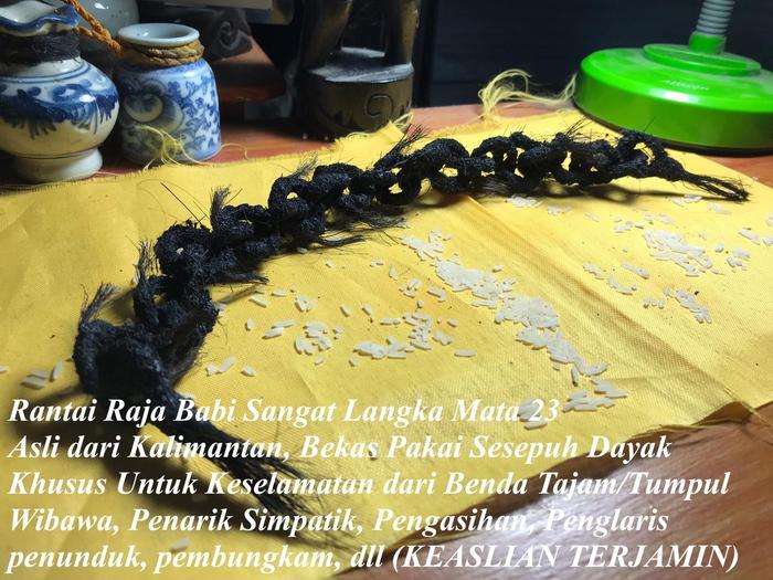 Rantaii Babii Asli PeninggalnDayak Kalimantan Mata Rantai 23 Raja