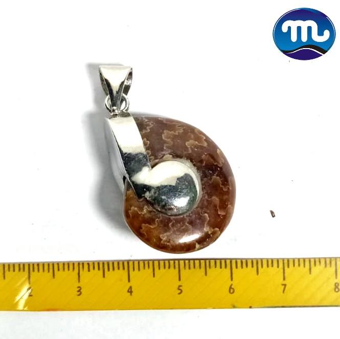 Liontin Fosil Sutured Ammonite LN-305