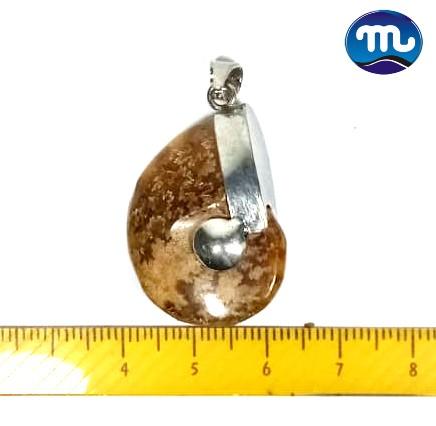 Liontin Fosil Sutured Ammonite LN-307