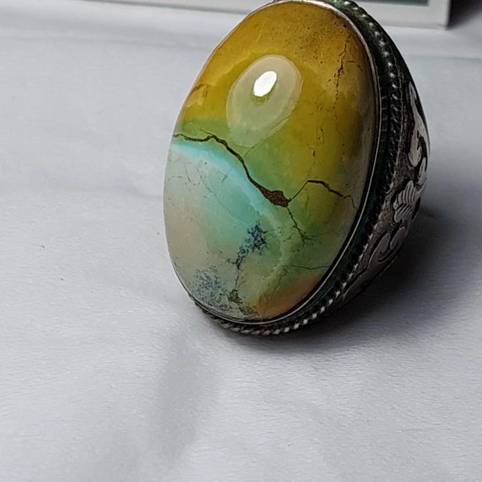 Pirus Persia Pirus Xinchang Pirus Hubei