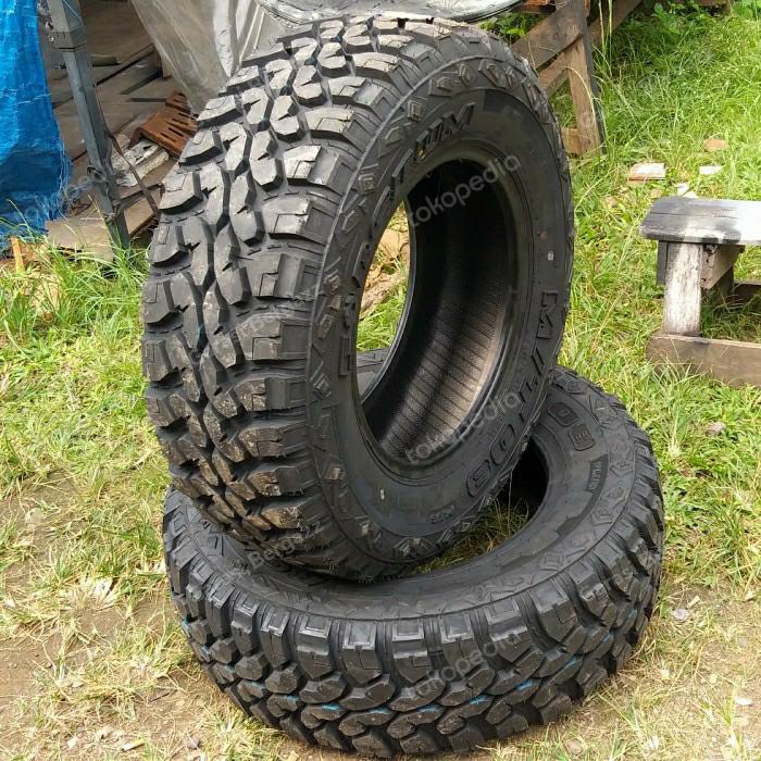 BAN FORCEUM R17