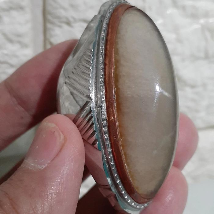 cincin pandan semu naik lumut