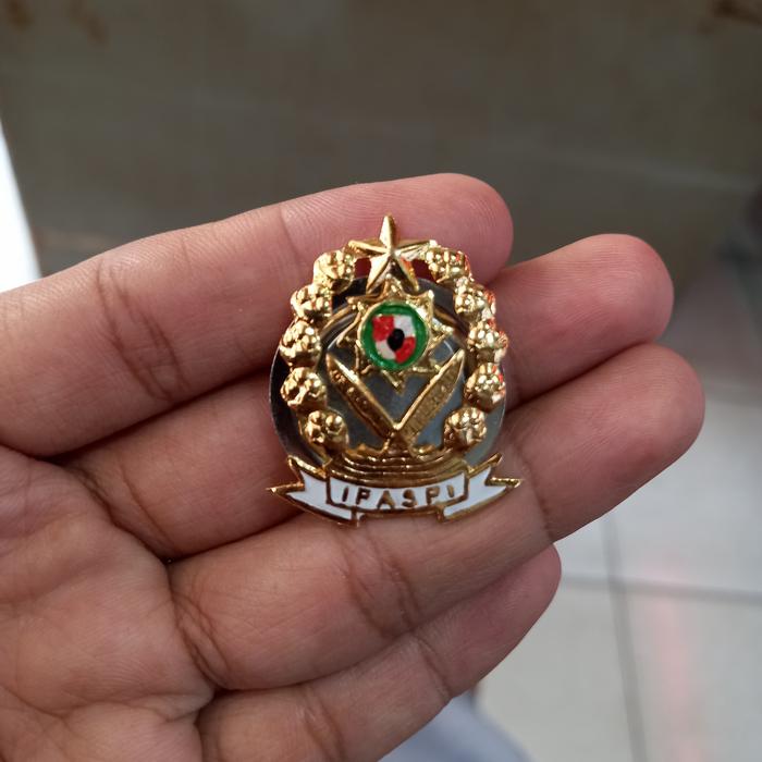 Pin IPASPI (Magnet)