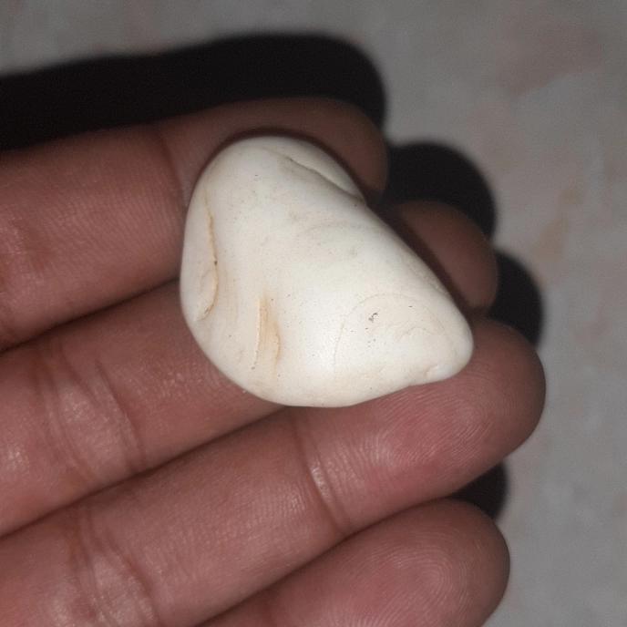 batu mustika ikan purba