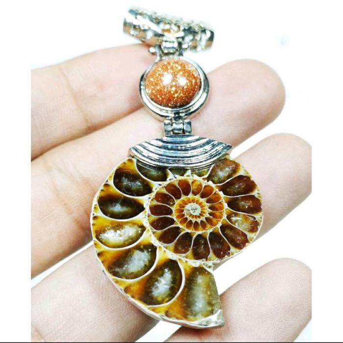 Natural Liontin Batu Ammonite Top Luster + Memo Acc Lab