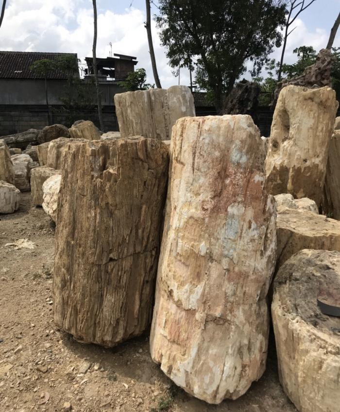 BONGKAHAN BATU FOSIL KAYU
