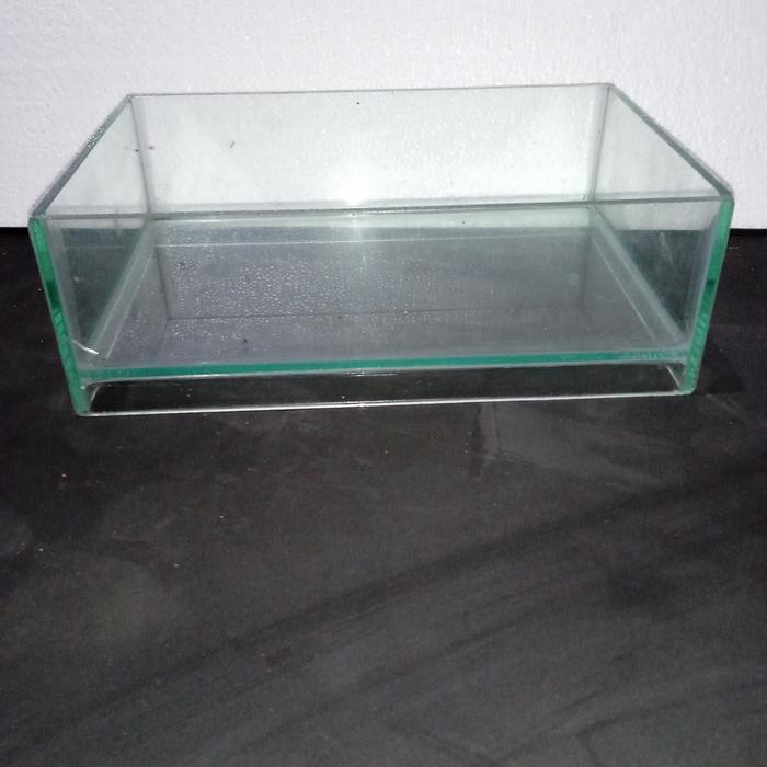 shallow tank 30x18x12