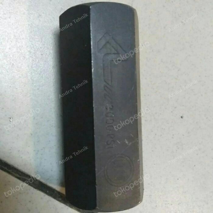 Check Valve Hydraulic 1inch 3000 Psi