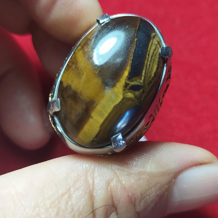 badar besi fosil kayu jumbo