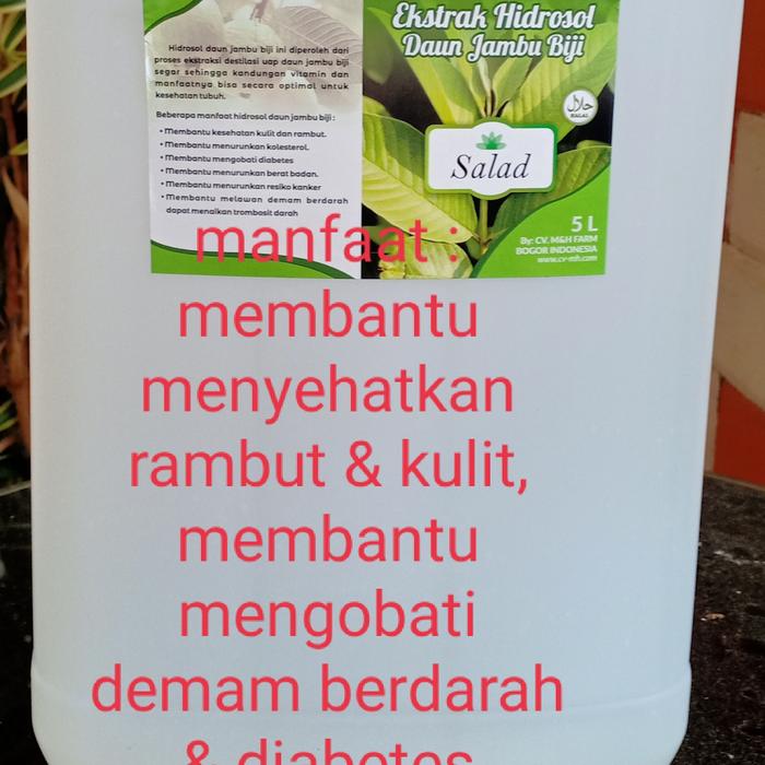 Ekstrak Hidrosol Daun Jambu Biji Psidium Guajava