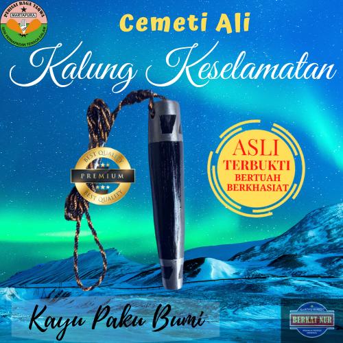 Kalung Pria Liontin Cemeti Ali Kayu Pakubumi Kalimantan Selatan
