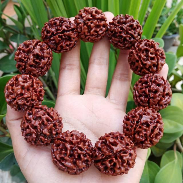 gelang jenitri rudraksha mukhi 7 besar