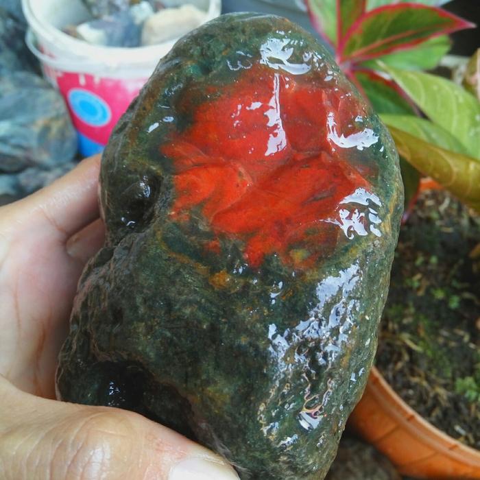 batu nogosui klawing merah cabai super pedas semi kristaL TP43