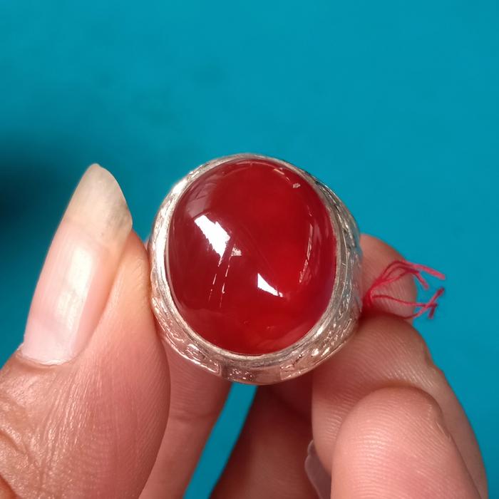 pandan merah super