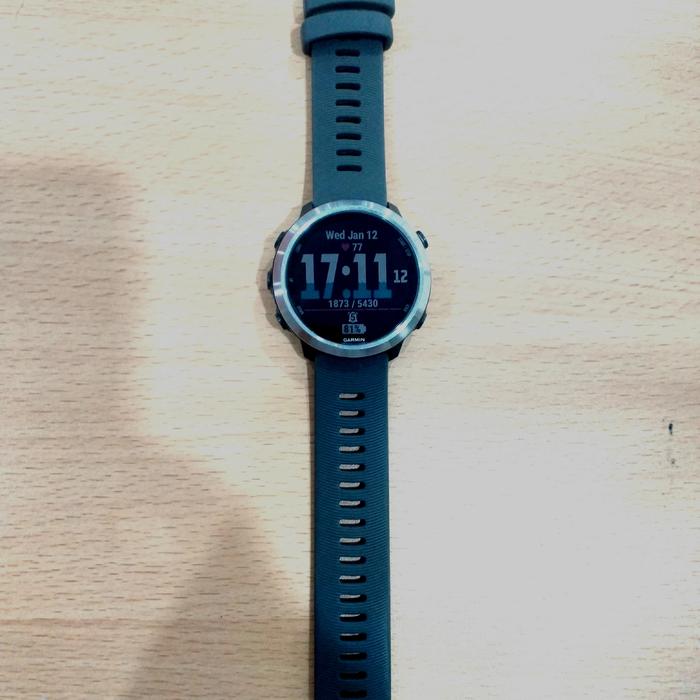 Jam Tangan Garmin Forerunner 645 - GPS Watch