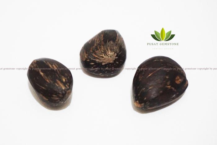 Batu Kelapa Sawit Koclak