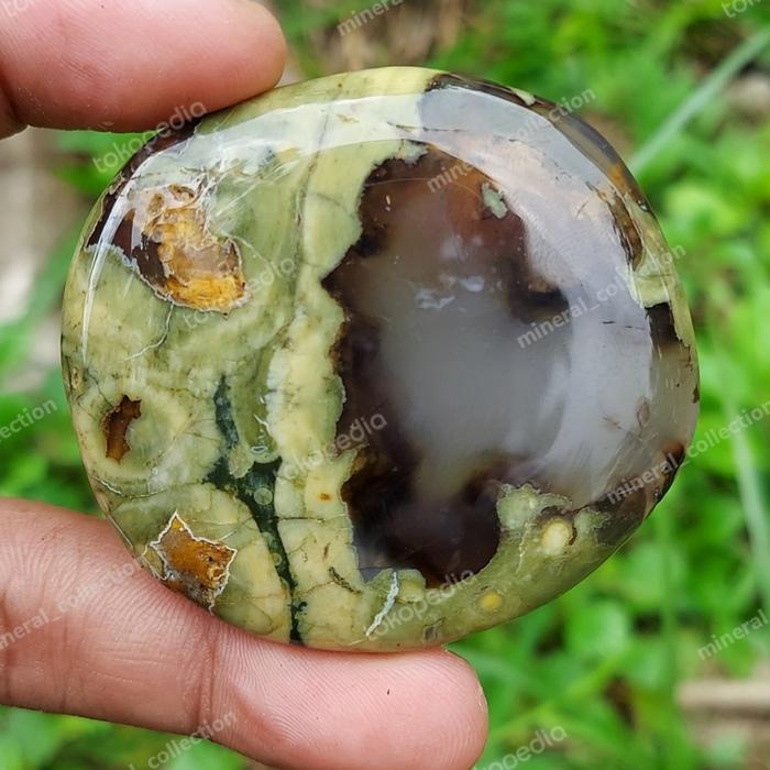 rainforest jasper