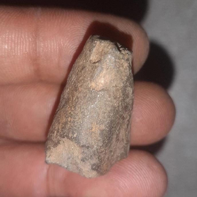 batu mustika kayu tlogosari