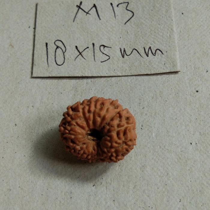 Rudraksha mukhi 13 special