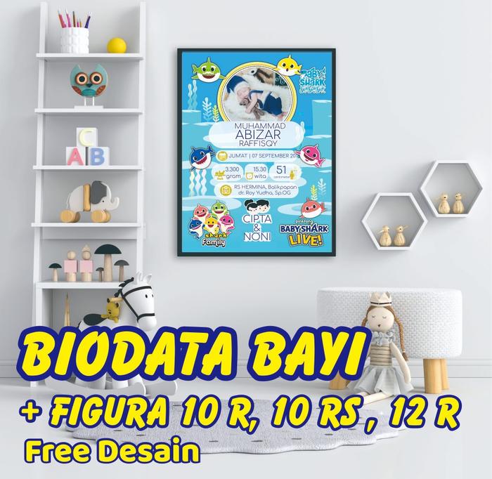 Biodata Bayi anak Bingkai Frame 10R/10RS / 12 R