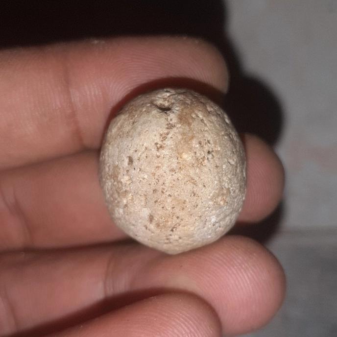 batu mustika jeruk purut sangat langka