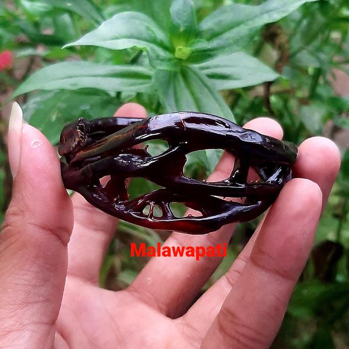 Gelang Akar Bahar Merah Combong Asli Unik Super Langka Tembus Cahaya