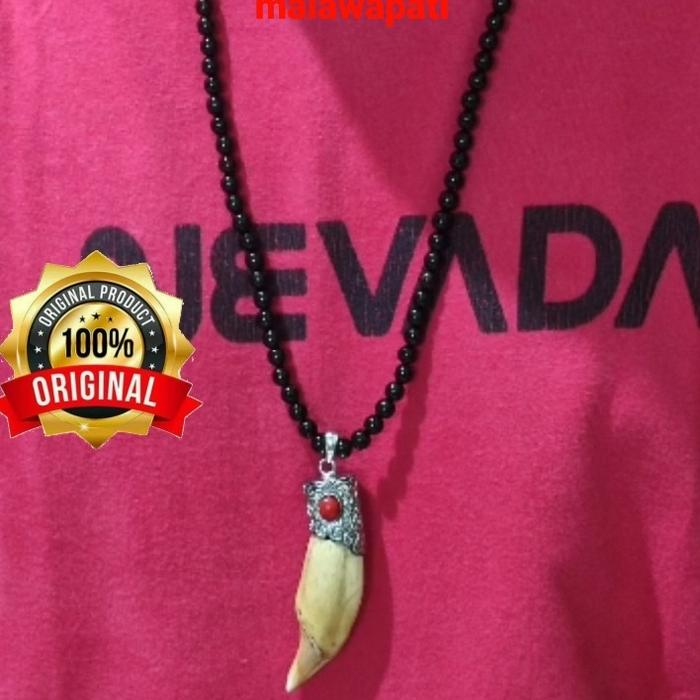 Kalung Akar Bahar Variasi Liontin Taring Beruang Asli Super Original